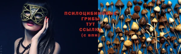 прущий лед Куйбышев