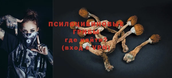 крисы Барнаул